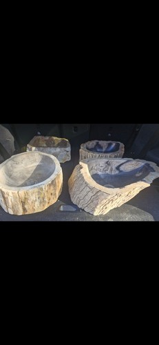 Petrified wood basins sink - petrified,