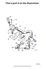Jaguar Genuine Hose Fits XJ6 &