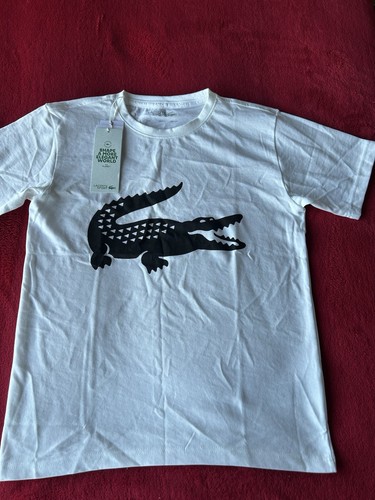 Lacoste sport logo shirt - sport, t-shirt