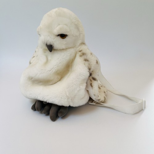 Harry potter hedwig - harry,