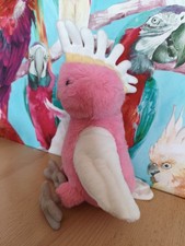 Lovely Jelly Cat Soft Toy