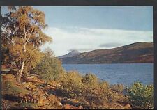 Scotland Postcard - Loch Rannoch, Perthshire   RR1224