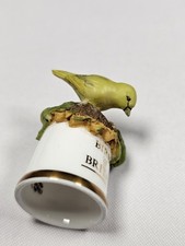 Birds of Britain Greenfinch