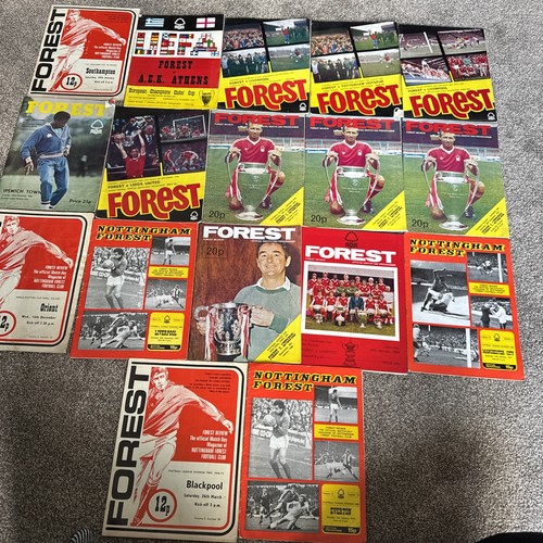 Nottingham forest - nottingham,