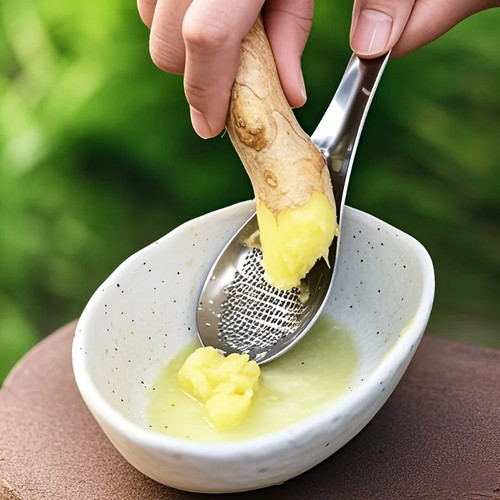 Stainless steel garlic ginger - stainless,