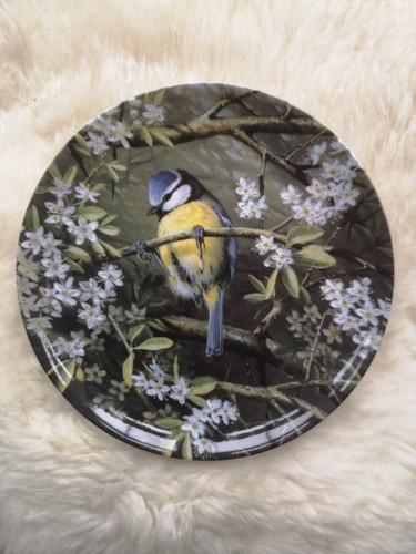 Wedgwood bone china - wedgwood, birds