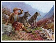 DEERHOUND YOUNG BOY AND DOGS