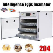 204 Brooder Eggs Incubator