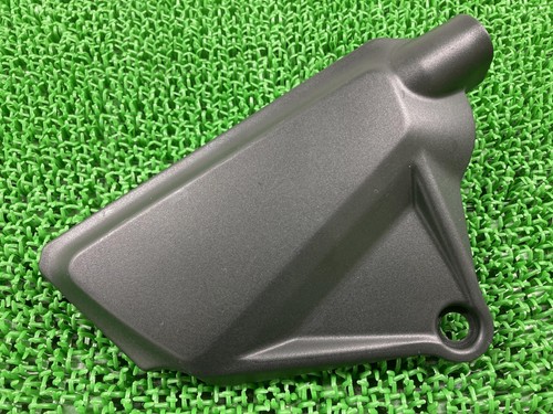 Left side cover for - , xdiavel