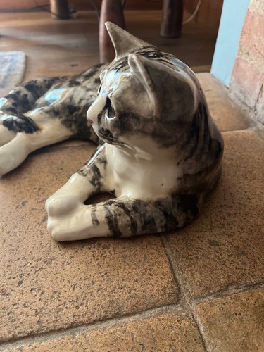 Winstanley cat size large - 7-,
