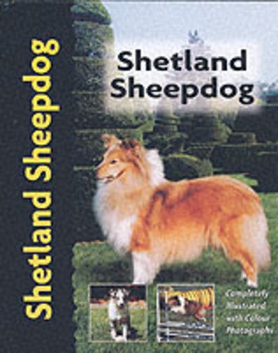 Shetland sheepdog unknown - shetland,