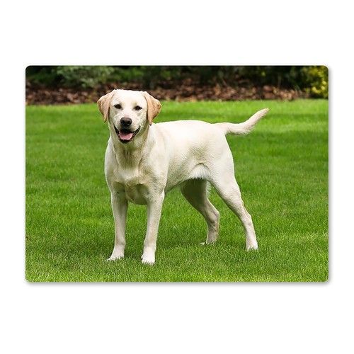 Metal wall sign dogs - metal,