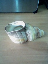 Vintage Shorter & Son  Shell