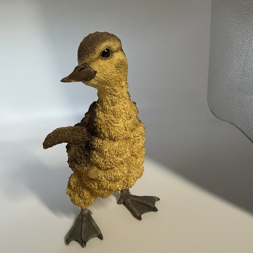 Country artists duckling - artists,