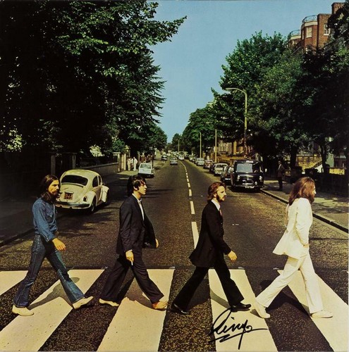 Ringo starr - (the, beatles)