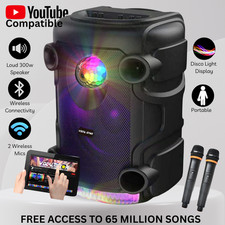 Vocal star 300w - 300w, portable