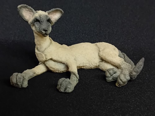 Breed apart siamese cat - apart,