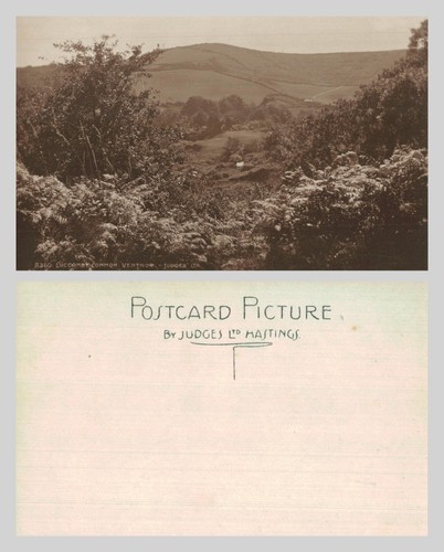 Vintage postcard 8360 - postcard,