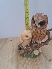 Border fine arts Owl & Owlet