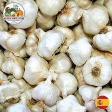Natural Spanish 'Spring
