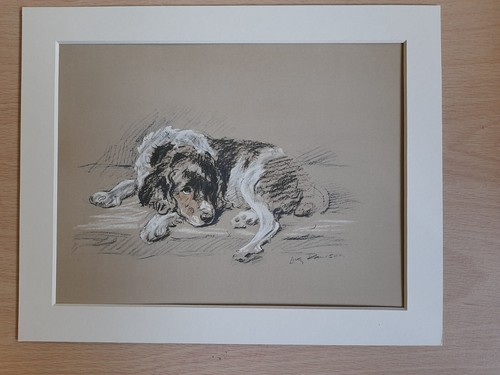 Collie lucy dawson - collie,