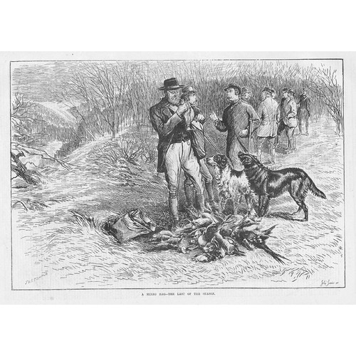 Game bird shooting a - bird,