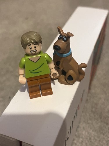 Lego shaggy and - and, with