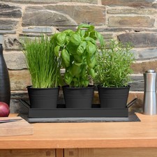 Indoor Herb Planters Tray