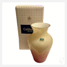 Caithness Glass Vase – Hand
