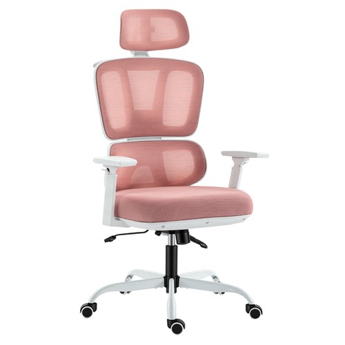 Ergonomic computer chair - computer, mesh