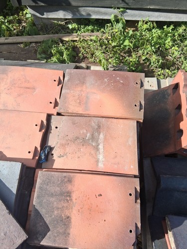 Plain clay tiles - plain,
