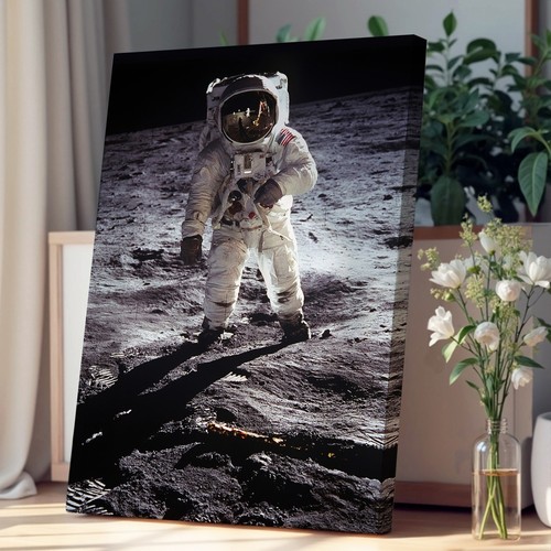 Buzz aldrin moon landing - buzz, space
