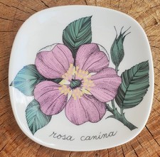 Arabia Finland Rosa Canina