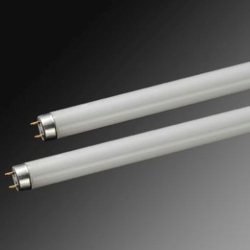 High quality aquatic - quality, t8