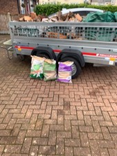 Seasoned logs for sale