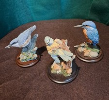 Country Artists Birds x3