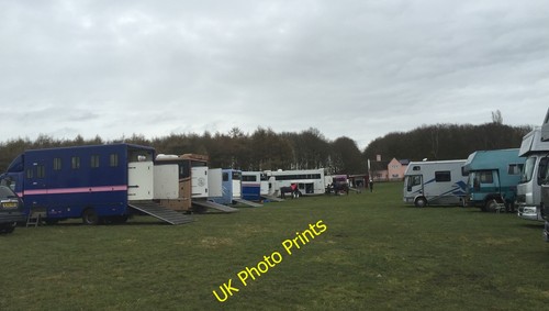 Photo 6x4 stafford horse - 6x4,