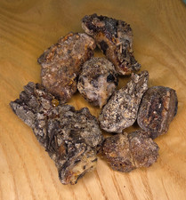 Pinyon Pine Resin - Pinus