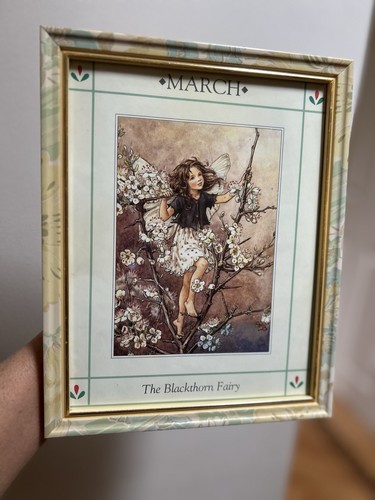 Flower fairies the blackthorn - fairies,