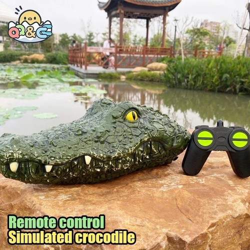 Floating crocodile head - head, toy