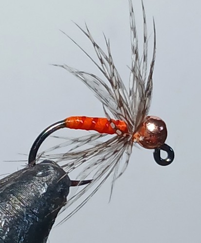 Orange soft hackle wet - , fly
