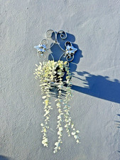 Retro Wall Plant Holder Metal Chrome Colour Mid Century 60s 70s Decor Vintage