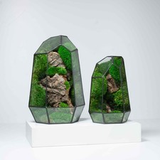 Geometric Terrarium Prism