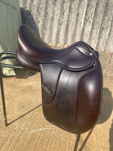 Amerigo vega dressage - amerigo,