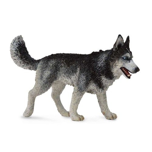 Collecta siberian husky - collecta,