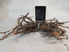 WIO Mini root mix -  80 gram