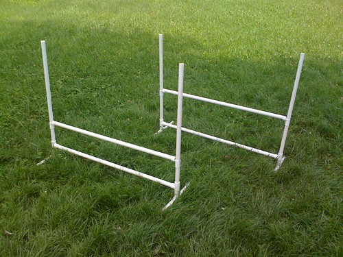 Dog training jumps agility - 2,