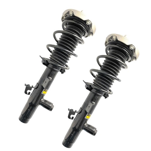 Front shock strut assys - 2x,