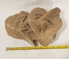 HUGE DESERT ROSE SELENITE SAND ROSE GYPSUM CLUSTER WEIGHS IN AT 4 KG