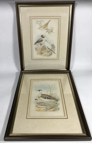 Antique hand painted bird - painted,